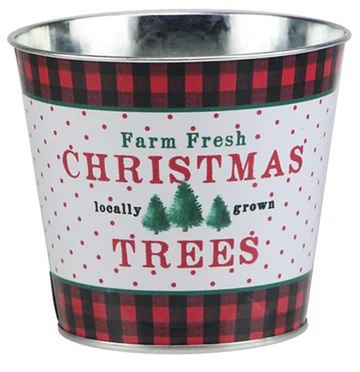Fresh-Christmas-Trees-Tin-Pot