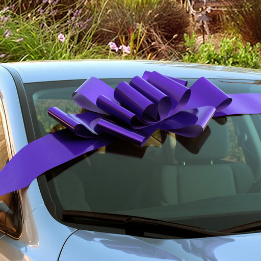 large-purple-car-bow