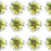 Lime Green 3-D Flower Pop Up Cards - 4" Wide, Set of 25