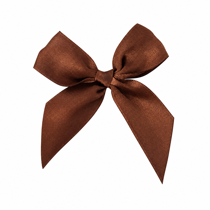 Brown Satin Pre-Tied Decorative Bows - 3" Wide, Set of 10, Fall, Halloween, Thanksgiving, Christmas, Wedding Favors, Birthday, Gift Ribbons, Gift Bows