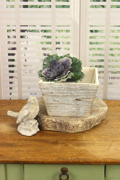 decorative-indoor-succulent-plant-pot