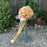A large decorative bow made of shiny gold and white ribbons, tied around a terracotta pot and placed on a metal bird bath stand in an outdoor garden setting with gravel, shrubs, and a wooden fence.