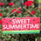 sweet-summertime-gardenb-decoration-sign