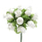 white-rosebuds